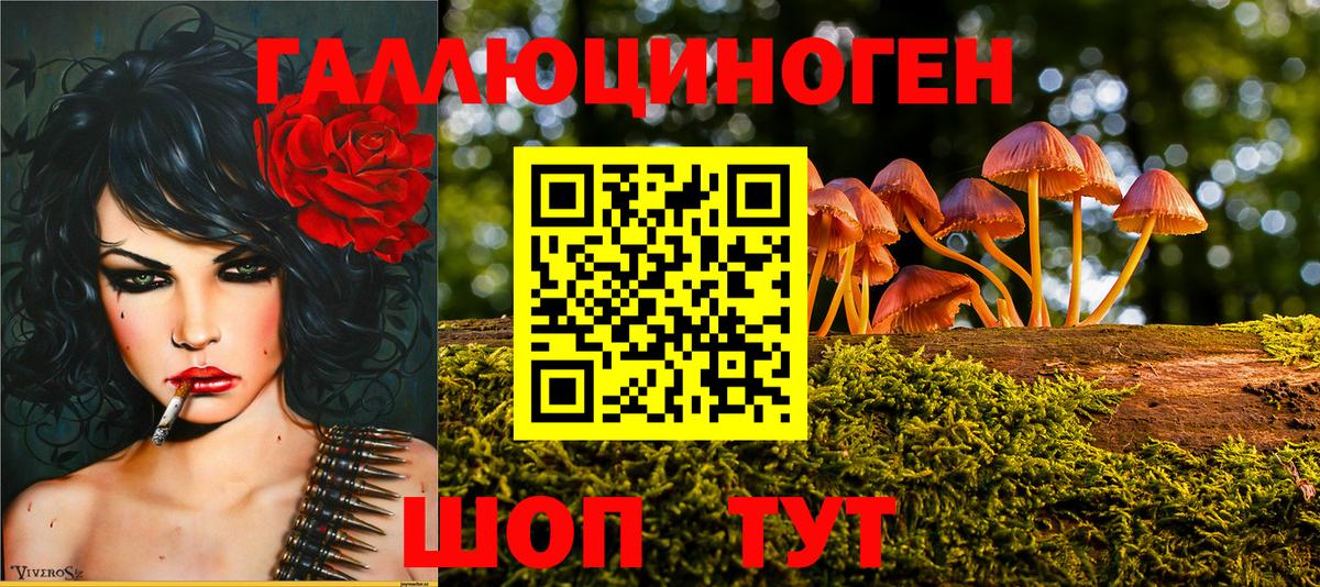 Псилоцибиновые грибы ЛСД Осинники