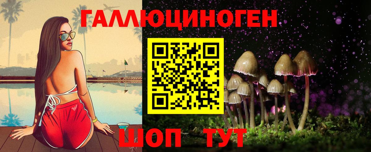 Осинники  Псилоцибиновые грибы прущие грибы  Вход с VPN 